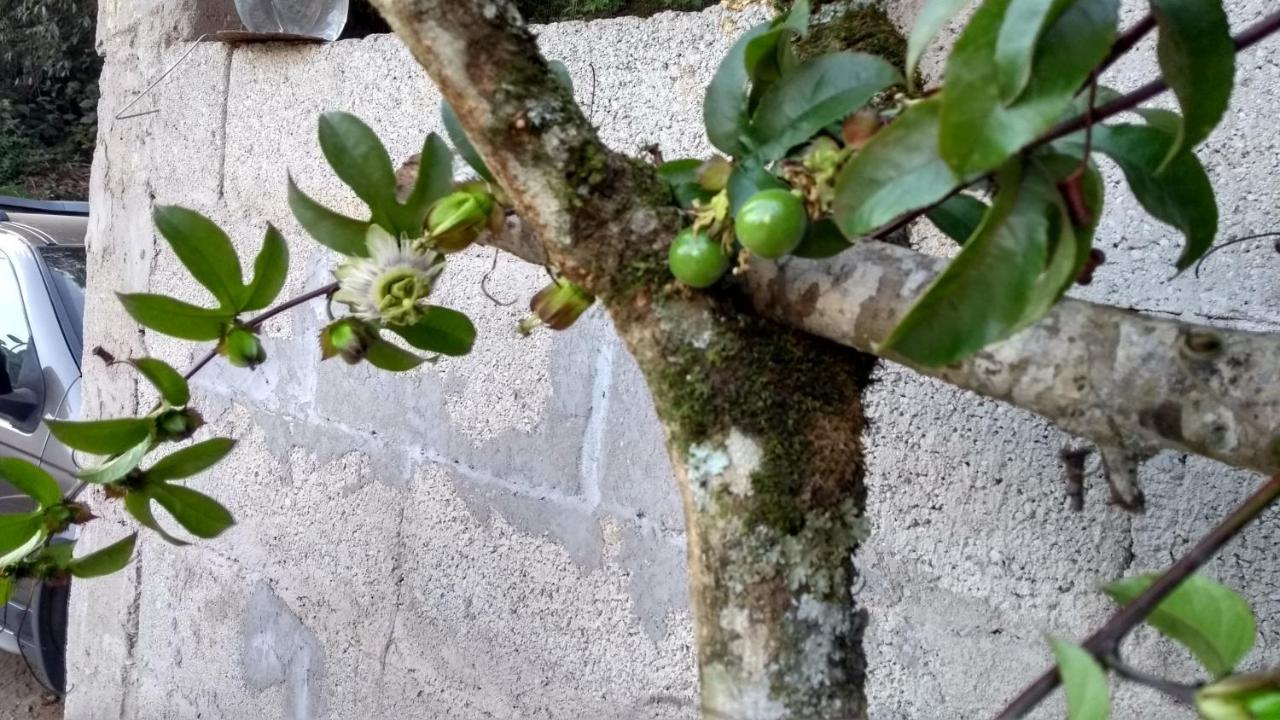 Recanto Vieira Campos do Jordão